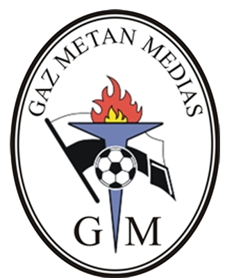 Gaz Metan Mediaș